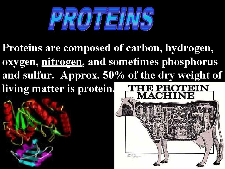 Proteins are composed of carbon, hydrogen, oxygen, nitrogen, and sometimes phosphorus and sulfur. Approx.