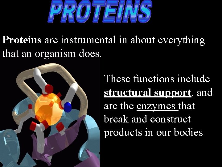 Proteins are instrumental in about everything that an organism does. These functions include structural
