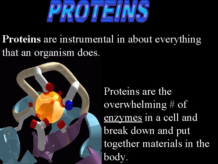 Proteins are instrumental in about everything that an organism does. Proteins are the overwhelming