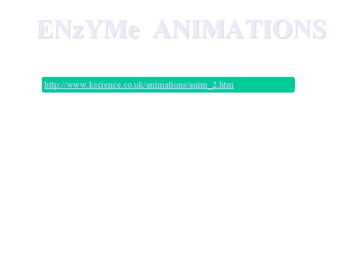 ENz. YMe ANIMATIONS http: //www. kscience. co. uk/animations/anim_2. htm 