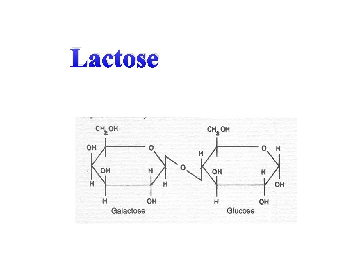 Lactose 
