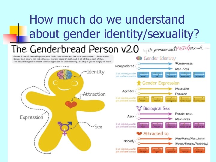How much do we understand about gender identity/sexuality? 
