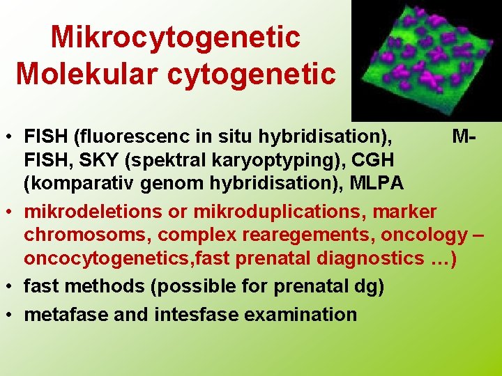 Mikrocytogenetic Molekular cytogenetic • FISH (fluorescenc in situ hybridisation), MFISH, SKY (spektral karyoptyping), CGH