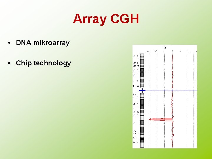 Array CGH • DNA mikroarray • Chip technology 