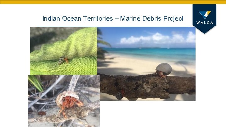 Indian Ocean Territories – Marine Debris Project 