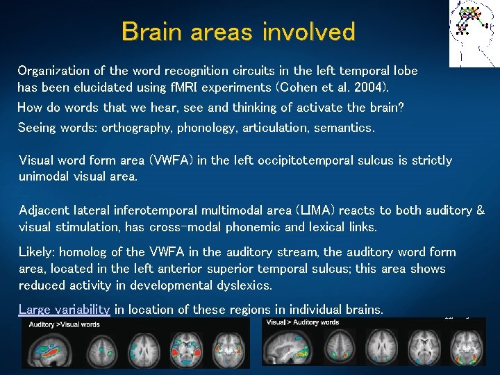 Brain areas involved Organization of the word recognition circuits in the left temporal lobe