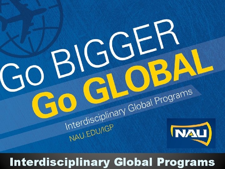 Interdisciplinary Global Programs 