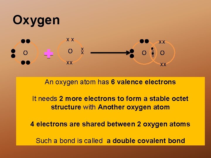 Oxygen xx O O xx xx x x O xx An oxygen atom has