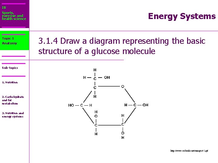 IB Sports, exercise and health science Topic 1 Anatomy Energy Systems 3. 1. 4