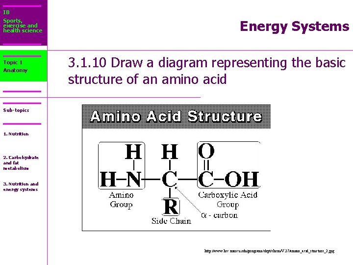 IB Sports, exercise and health science Topic 1 Anatomy Energy Systems 3. 1. 10