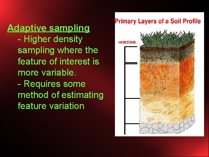 Adaptive sampling - Higher density sampling where the feature of interest is more variable.