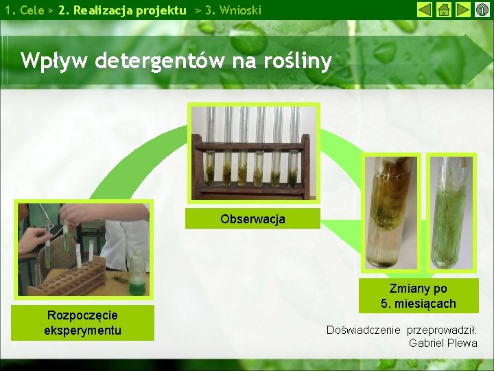 1. Cele > 2. Realizacja projektu > 3. Wnioski Wpływ detergentów na rośliny Obserwacja