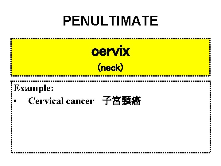 PENULTIMATE cervix (neck) Example: • Cervical cancer 子宮頸癌 