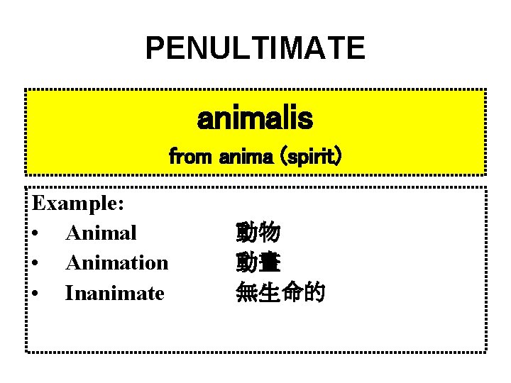 PENULTIMATE animalis from anima (spirit) Example: • Animal • Animation • Inanimate 動物 動畫