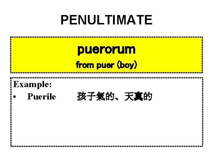 PENULTIMATE puerorum from puer (boy) Example: • Puerile 孩子氣的、天真的 