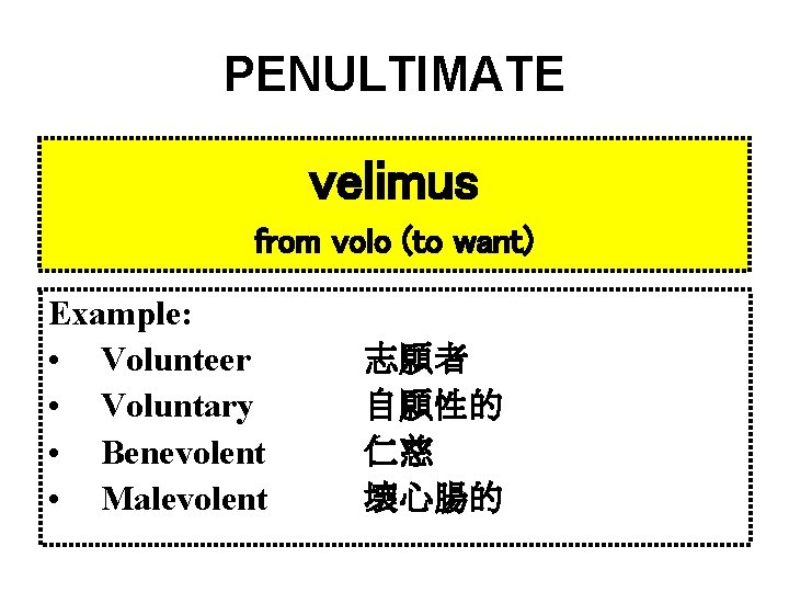 PENULTIMATE velimus from volo (to want) Example: • Volunteer • Voluntary • Benevolent •