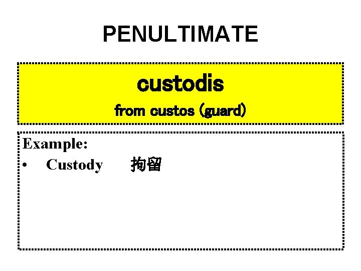 PENULTIMATE custodis from custos (guard) Example: • Custody 拘留 