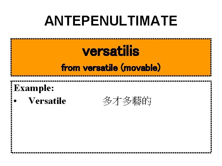 ANTEPENULTIMATE versatilis from versatile (movable) Example: • Versatile 多才多藝的 