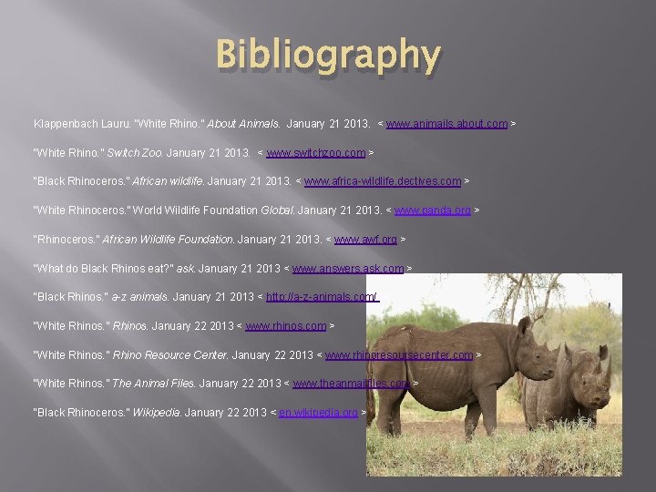 Bibliography Klappenbach Lauru. “White Rhino. ” About Animals. January 21 2013. < www. animails.