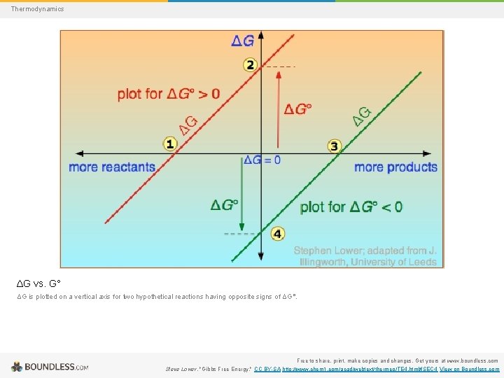 Thermodynamics ΔG vs. G° ΔG is plotted on a vertical axis for two hypothetical