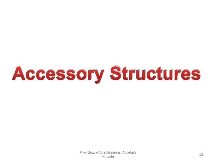 Accessory Structures Physiology of Special senses, Abdelaziz Hussein 12 