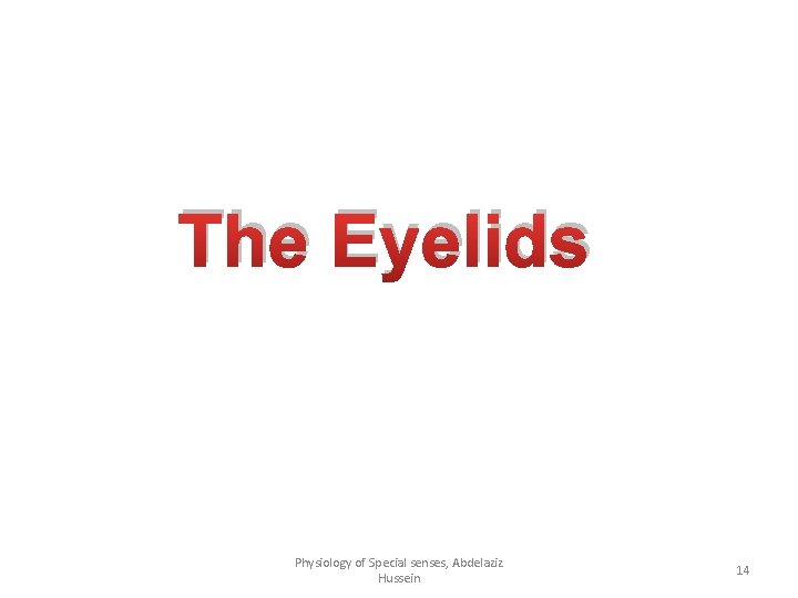 The Eyelids Physiology of Special senses, Abdelaziz Hussein 14 