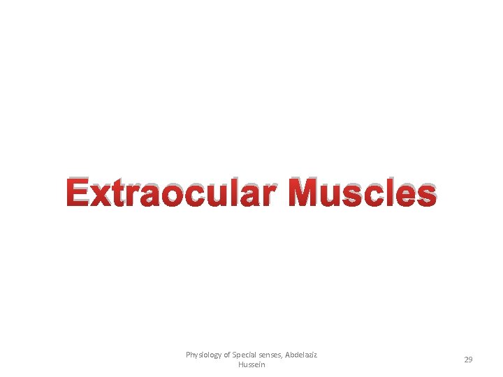 Extraocular Muscles Physiology of Special senses, Abdelaziz Hussein 29 