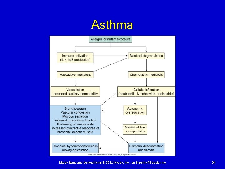 Asthma Mosby items and derived items © 2012 Mosby, Inc. , an imprint of Asthma Mosby items and derived items © 2012 Mosby, Inc. , an imprint of