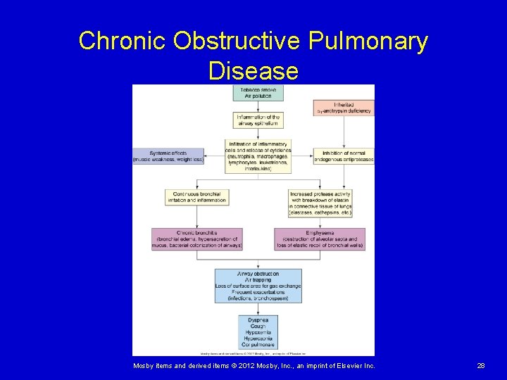 Chronic Obstructive Pulmonary Disease Mosby items and derived items © 2012 Mosby, Inc. , Chronic Obstructive Pulmonary Disease Mosby items and derived items © 2012 Mosby, Inc. ,