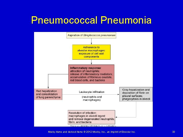 Pneumococcal Pneumonia Mosby items and derived items © 2012 Mosby, Inc. , an imprint Pneumococcal Pneumonia Mosby items and derived items © 2012 Mosby, Inc. , an imprint