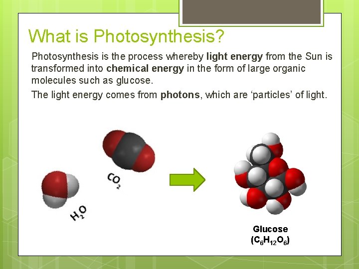 What is Photosynthesis? Photosynthesis is the process whereby light energy from the Sun is