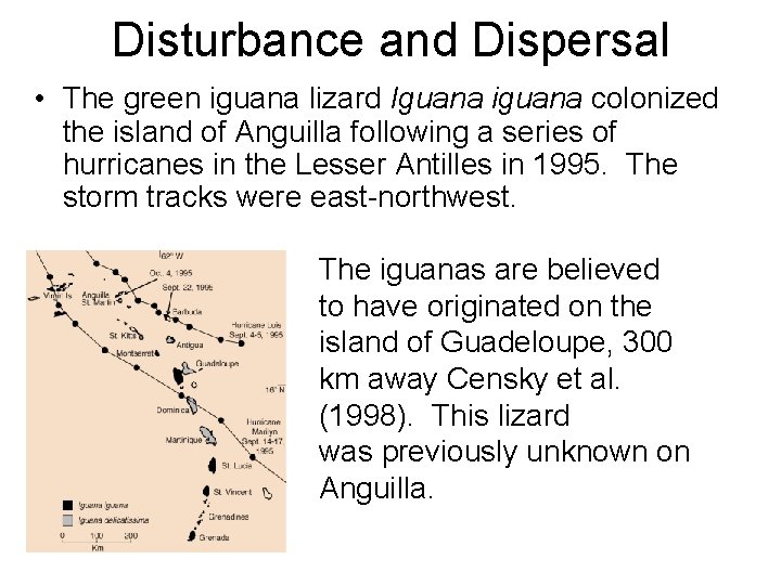 Disturbance and Dispersal • The green iguana lizard Iguana iguana colonized the island of