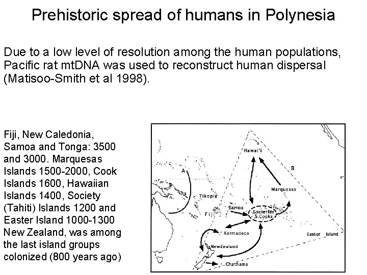 Prehistoric spread of humans in Polynesia Due to a low level of resolution among