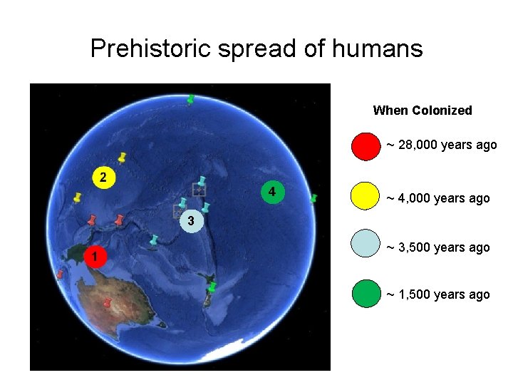 Prehistoric spread of humans When Colonized 4, 000 years ago 4 3 28, 000