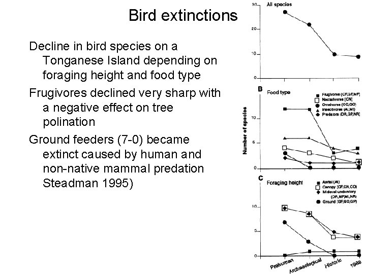 Bird extinctions Decline in bird species on a Tonganese Island depending on foraging height