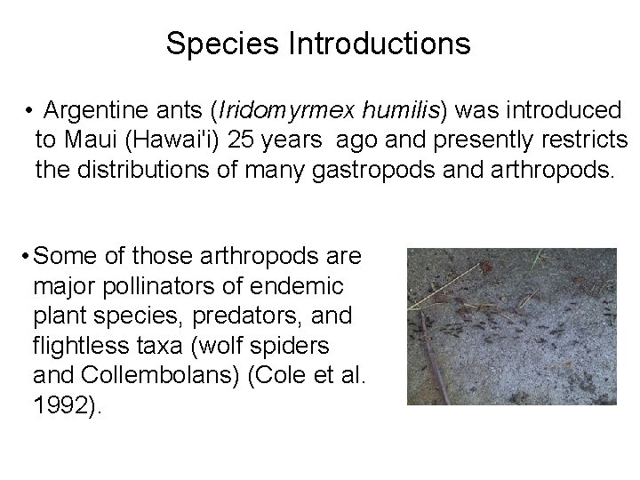 Species Introductions • Argentine ants (Iridomyrmex humilis) was introduced to Maui (Hawai'i) 25 years