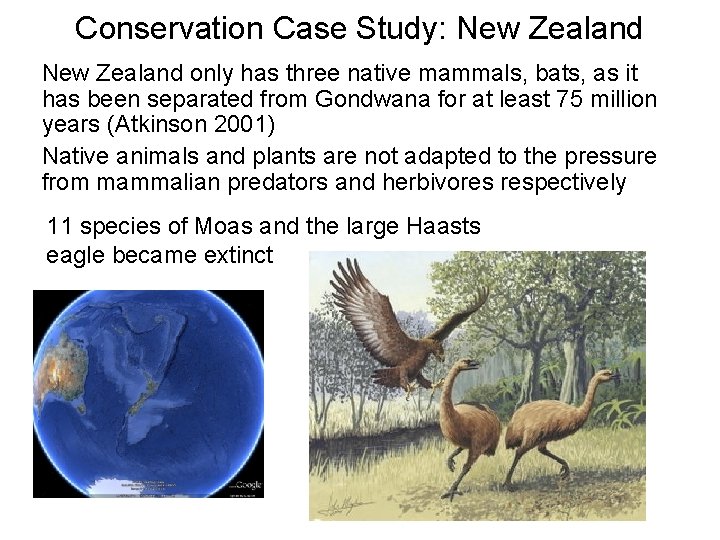 Conservation Case Study: New Zealand only has three native mammals, bats, as it has