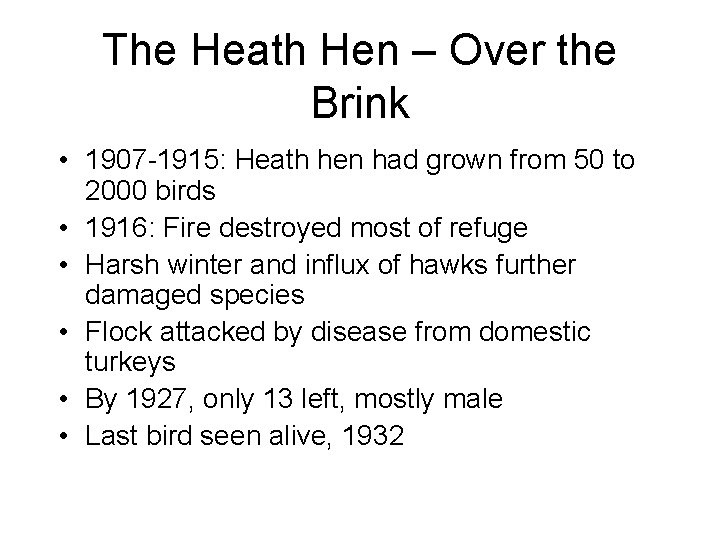 The Heath Hen – Over the Brink • 1907 -1915: Heath hen had grown