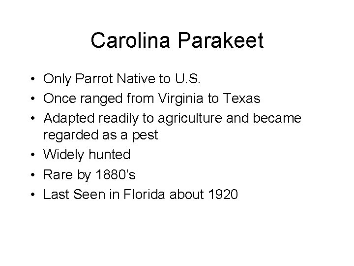 Carolina Parakeet • Only Parrot Native to U. S. • Once ranged from Virginia