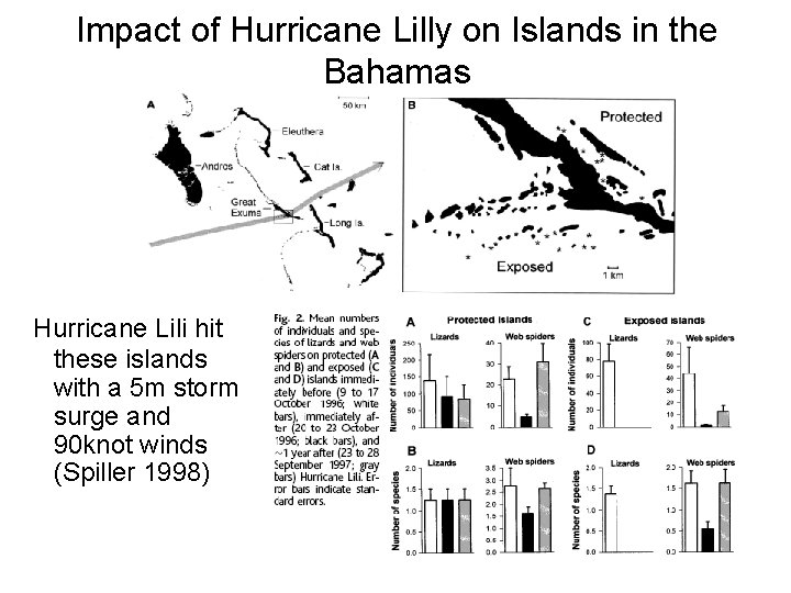 Impact of Hurricane Lilly on Islands in the Bahamas Hurricane Lili hit these islands