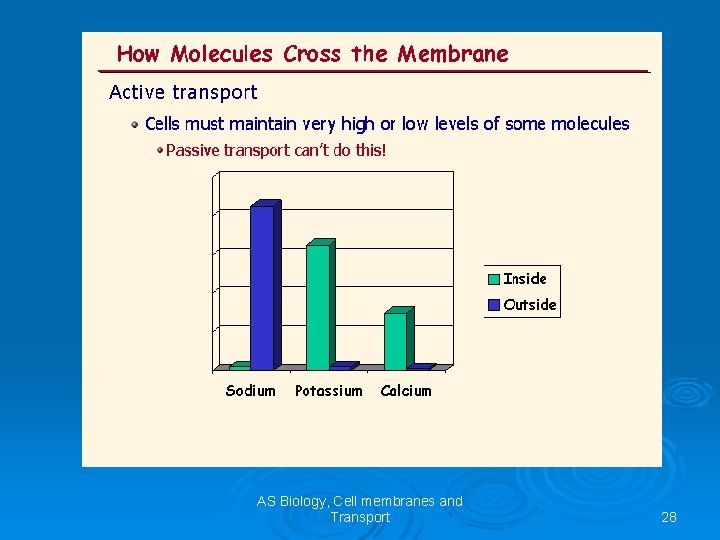 AS Biology, Cell membranes and Transport 28 