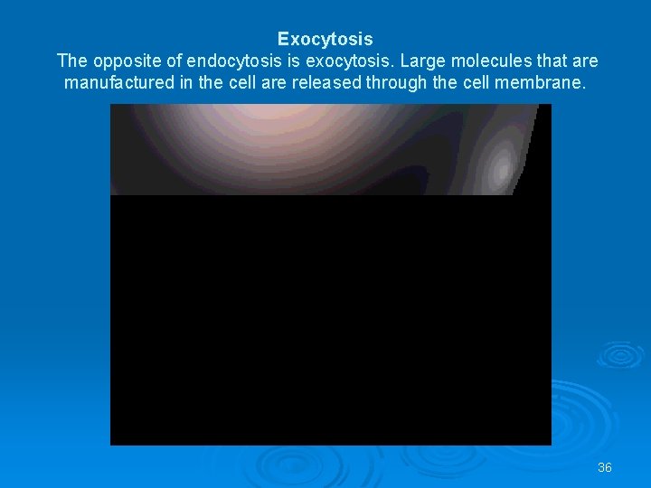 Exocytosis The opposite of endocytosis is exocytosis. Large molecules that are manufactured in the
