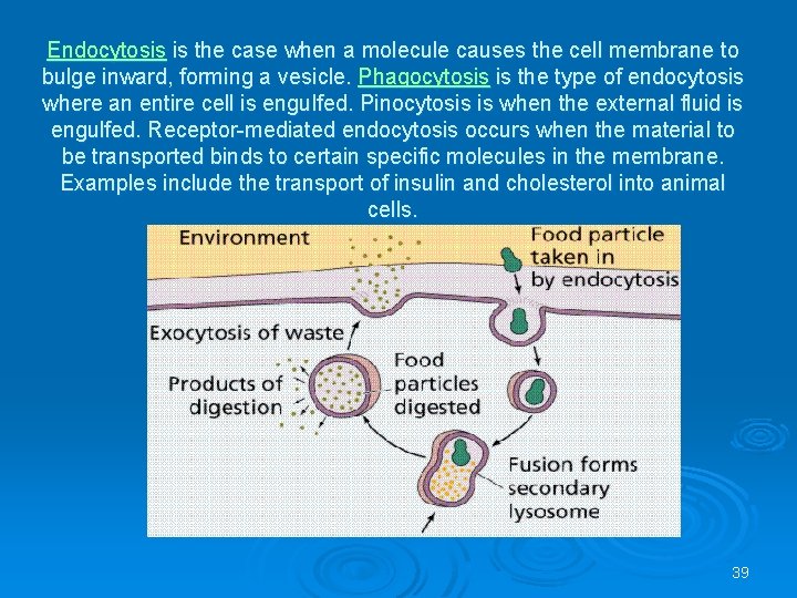 Endocytosis is the case when a molecule causes the cell membrane to bulge inward,