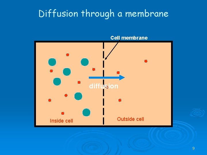 Diffusion through a membrane Cell membrane diffusion Inside cell Outside cell 9 