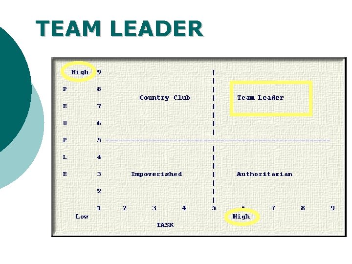 TEAM LEADER 