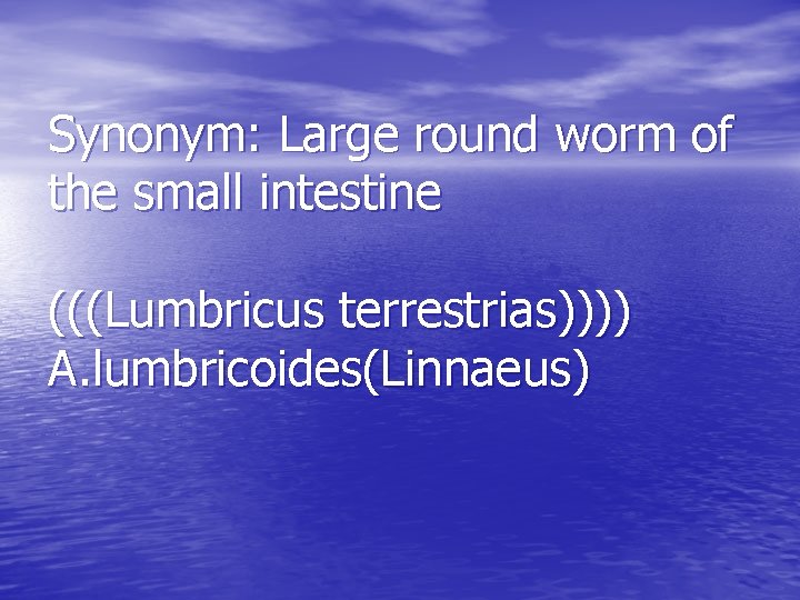 Ascaris lumbricoides Ascariasis Synonym Large round worm of