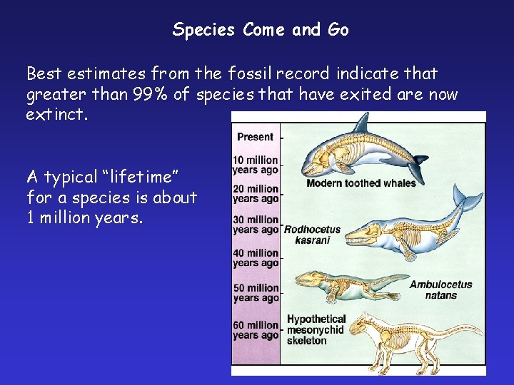 Species Come and Go Best estimates from the fossil record indicate that greater than