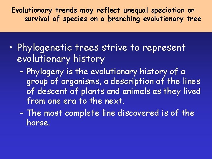 Evolutionary trends may reflect unequal speciation or survival of species on a branching evolutionary