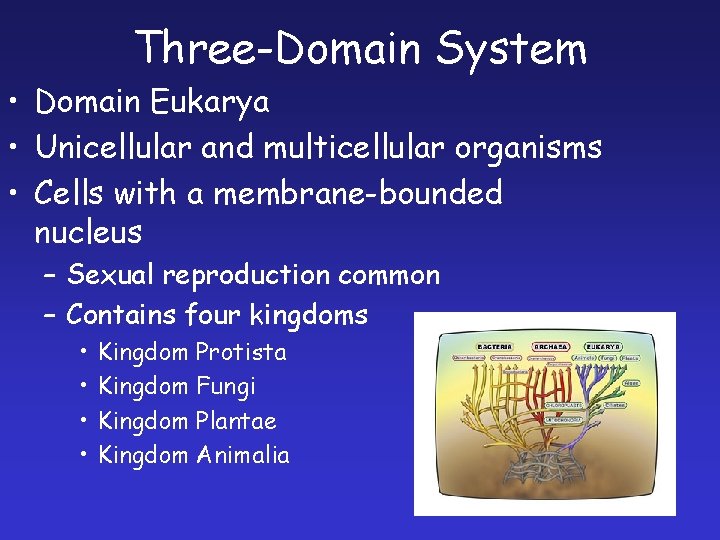 Three-Domain System • Domain Eukarya • Unicellular and multicellular organisms • Cells with a