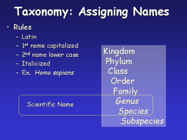 Taxonomy: Assigning Names • Rules – – – Latin 1 st name capitalized 2